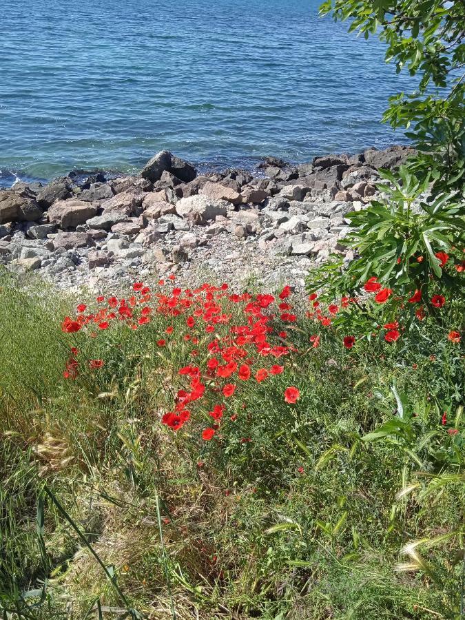 Private Studio, South Beaсh, Nessebar, Larisa المظهر الخارجي الصورة